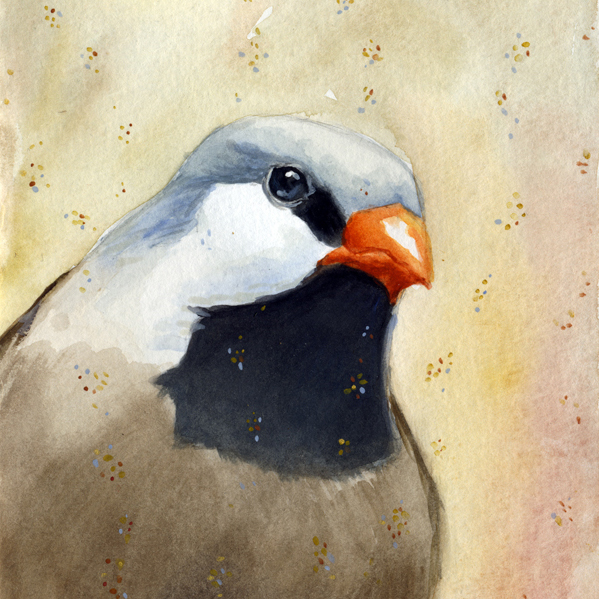 Finch by Maggie Hurley Finch by Maggie Hurley