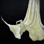datura1