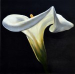lily-wave