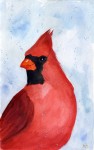 male-cardinal