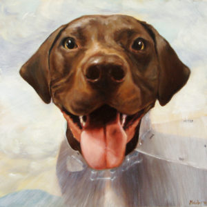 Zeke's owner found Zeke's elation at having his head in a cone something to smile about.