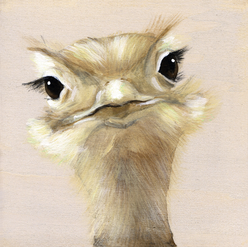 Birds