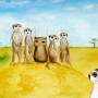 Herbert Mingles With Meerkats