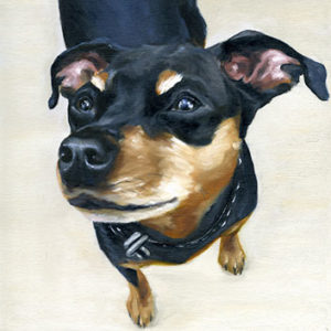 pet portrait by Maggie Hurley