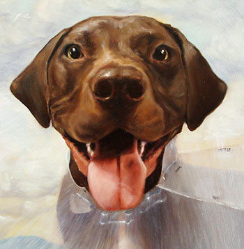 Pet portrait of a dog by Maggie Hurley
