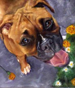 Pet portrait by Maggie Hurley