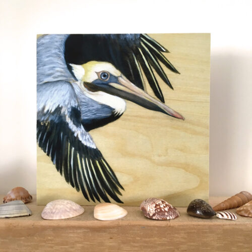Brown Pelican bird art by Maggie Hurley