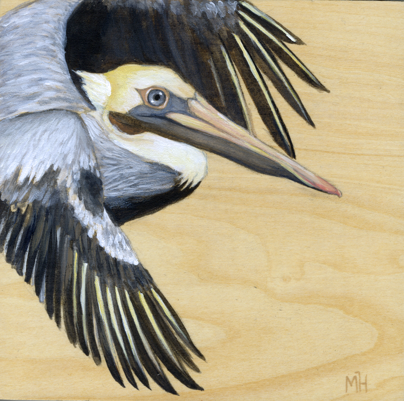 Bird Art on Wood - Brown Pelican