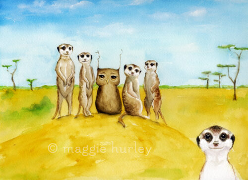 Herbert Mingles With Meerkats