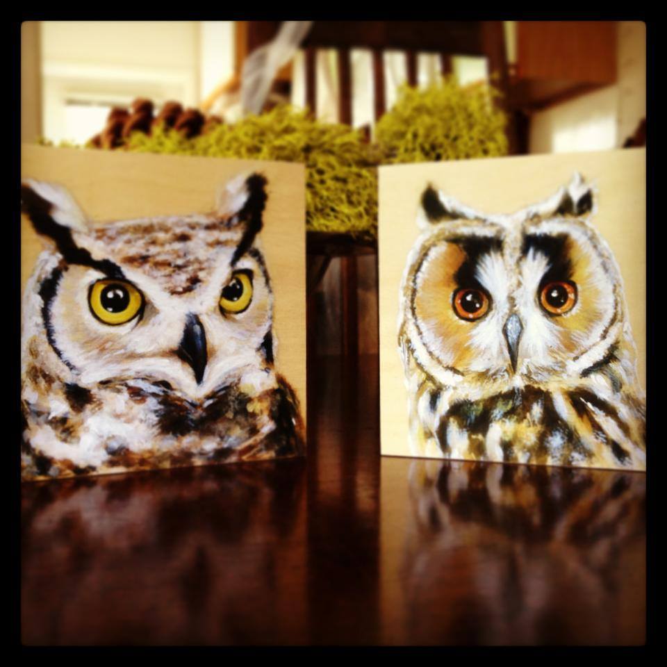 New Owls