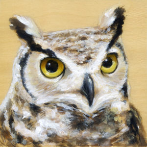 Portrait of great horned owl