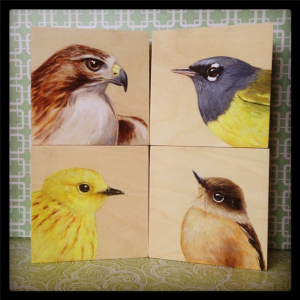 Four New Birds: Spring 2014