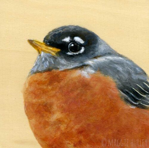 American Robin Bird Painting by Maggie Hurley