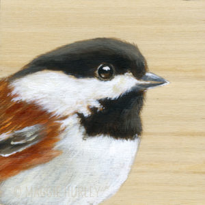 Chickadee by Maggie Hurley