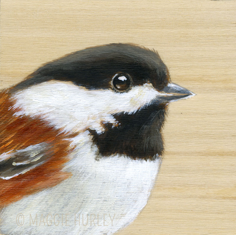 Chickadee by Maggie Hurley