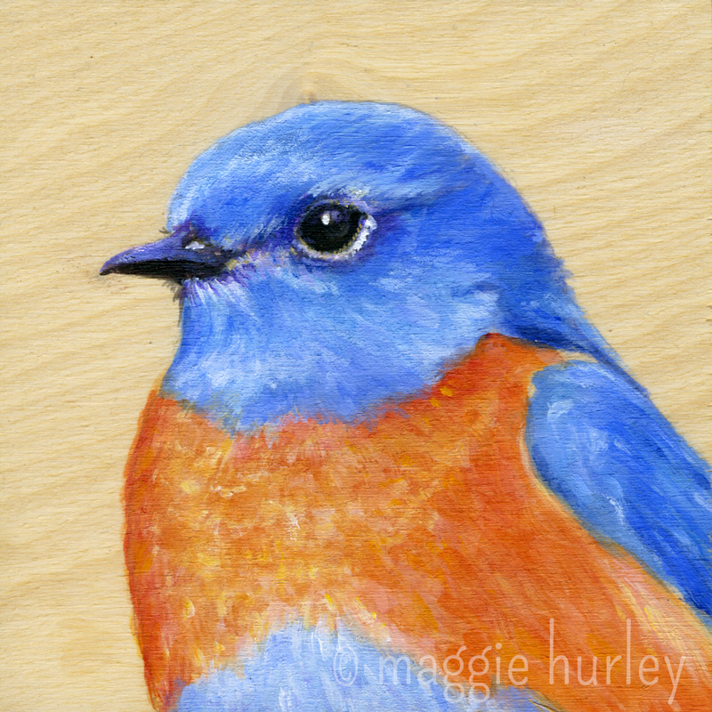 western bluebird painting