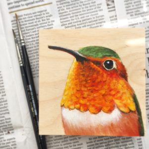 Allen's Hummingbird