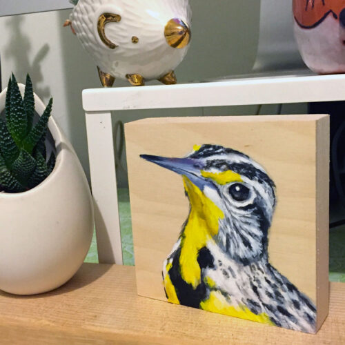 Western meadowlark on wood