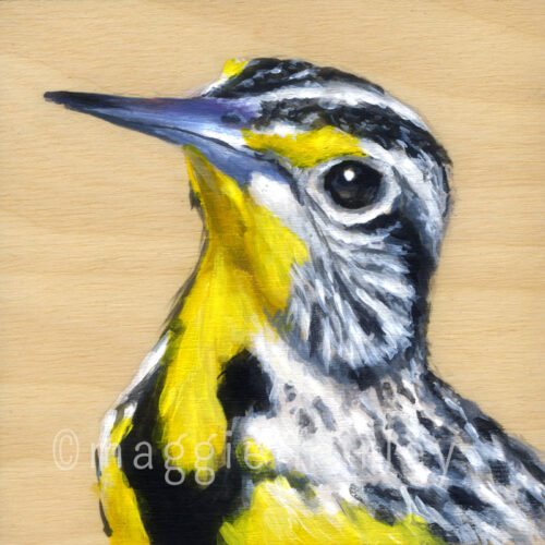 Western Meadowlark - Art Print on Wood