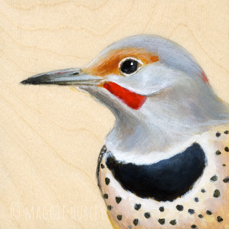 Northern Flicker - Art Print on Wood - Bird Art - Maggie Hurley