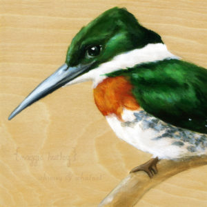 Green Kingfisher painting by Maggie Hurley