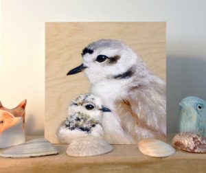 Print of snowy plover and chick mounted on wood by Maggie Hurley