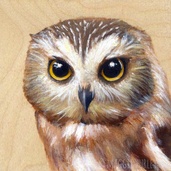 northern saw whet owl bird art print on wood maggie hurley