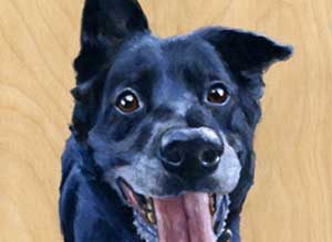 cropped dog portrait painting by Maggie Hurley