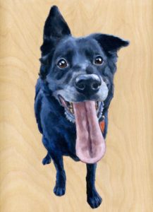 Dog portrait painting by Maggie Hurley