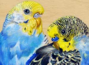 Parakeet painting by Maggie Hurley