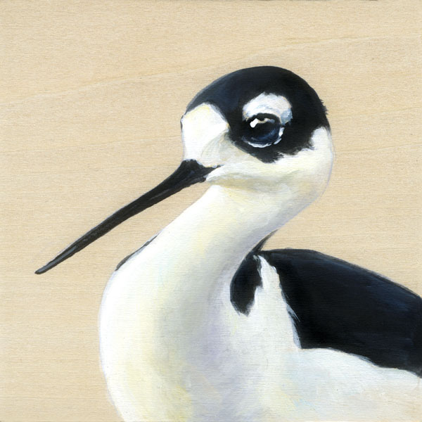 Black necked stilt painting by Maggie Hurley