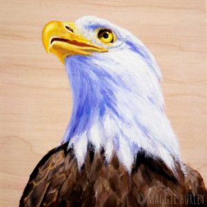 Bald Eagle art by Maggie Hurley