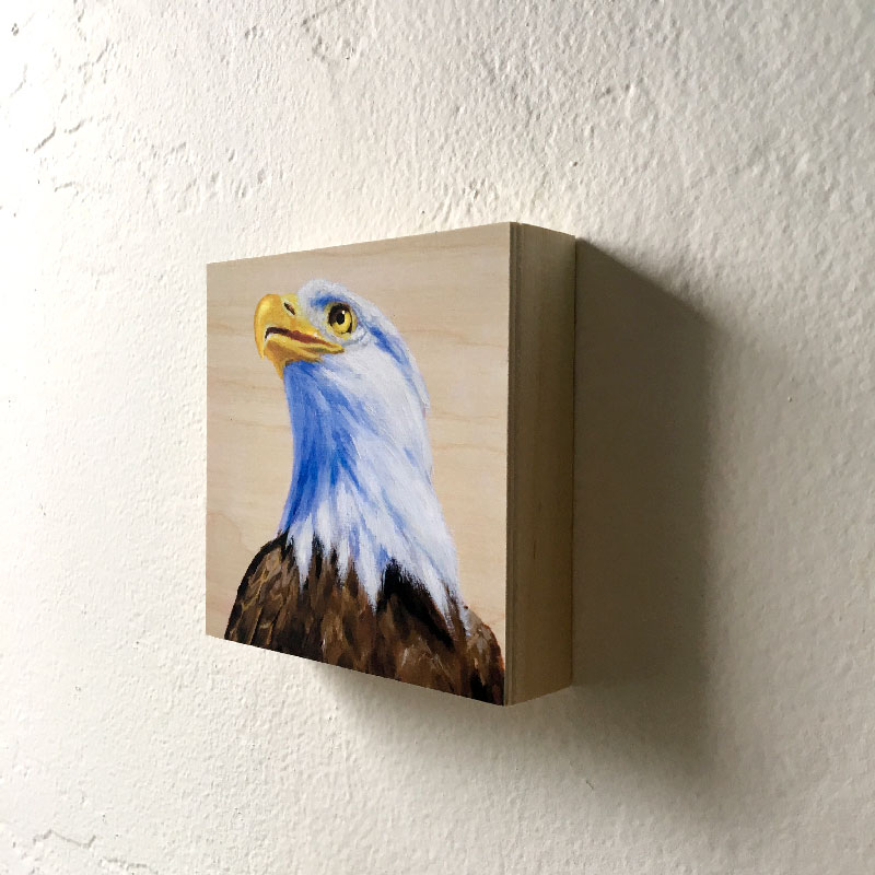 Bald Eagle art print by Maggie Hurley hanging on a wall. Side View