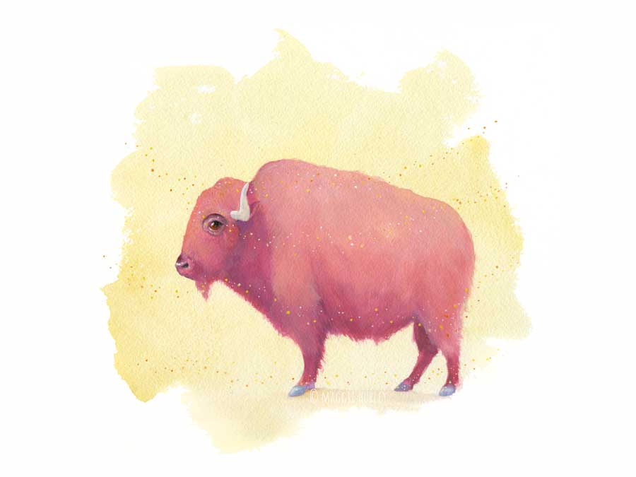 Pink bison by maggie hurley