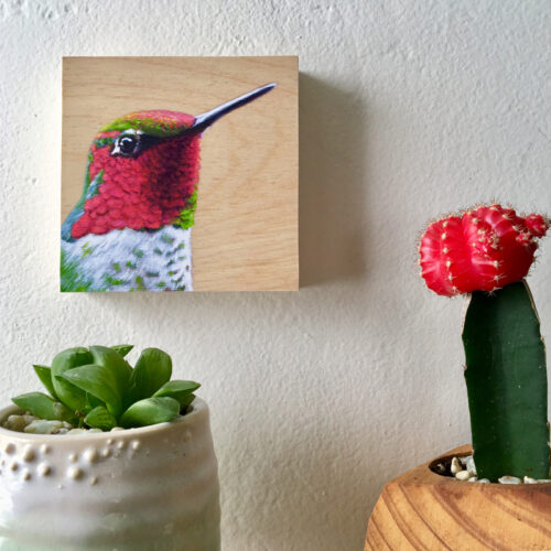 anna's hummingbird art by maggie hurley on wall