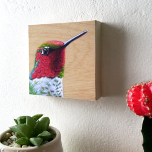 anna's hummingbird art by maggie hurley on wall