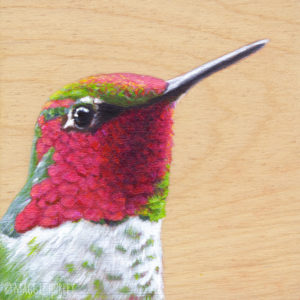 anna's hummingbird art by maggie hurley