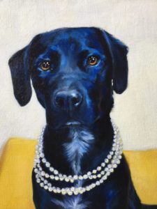 Clarice dog portrait close up