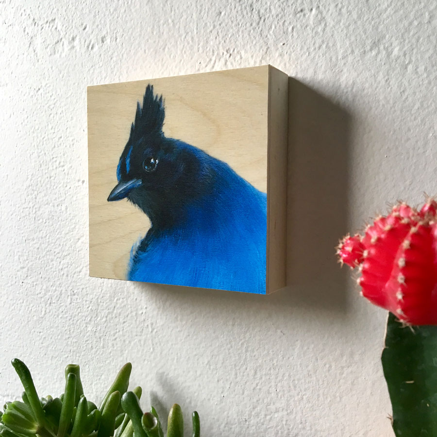 Steller's Jay Bird Art by Maggie Hurley Profile