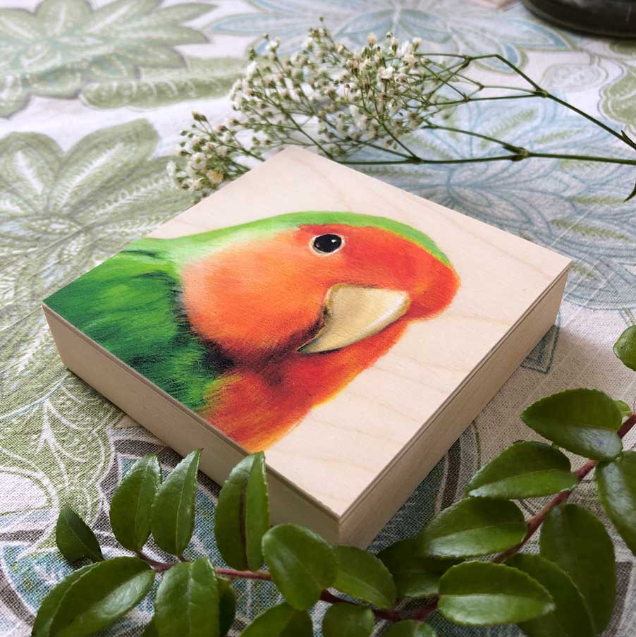 Painting of a peach-faced lovebird by Maggie Hurley