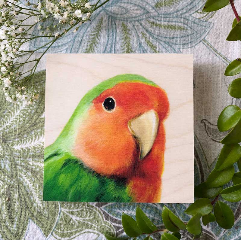 Painting of a peach-faced lovebird by Maggie Hurley