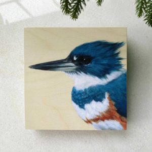 portrait of female belted kingfisher on wood