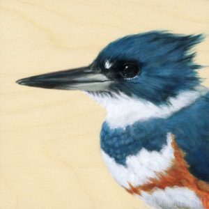 portrait painting of a female belted kingfisher on wood