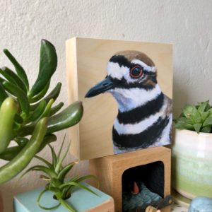 Killdeer bird art print by maggie hurley side