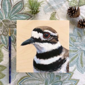 killdeer bird painting by maggie hurley