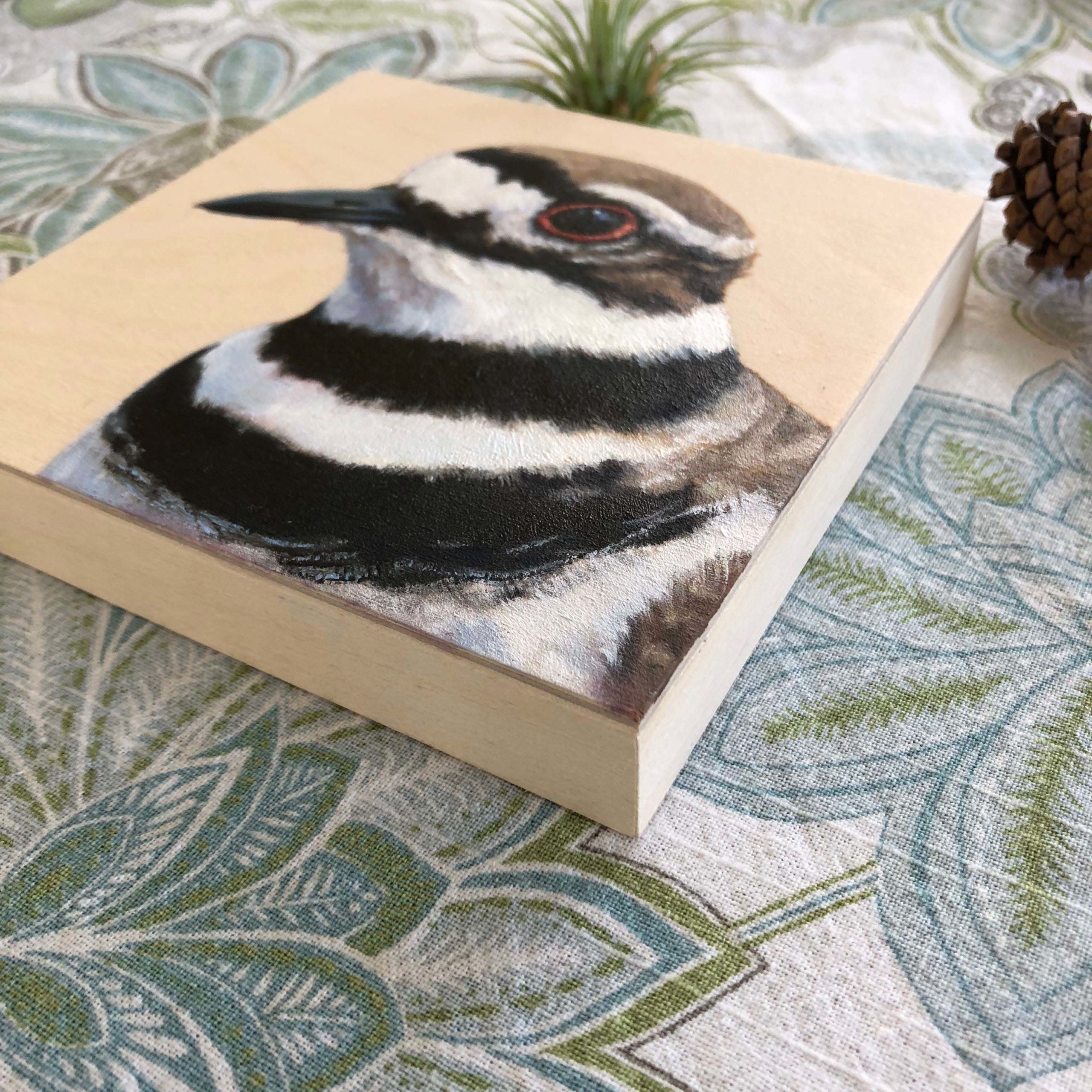 killdeer bird painting by maggie hurley angle