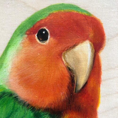 lovebird bird painting by maggie hurley close