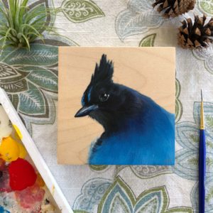 steller's jay bird painting by maggie hurley