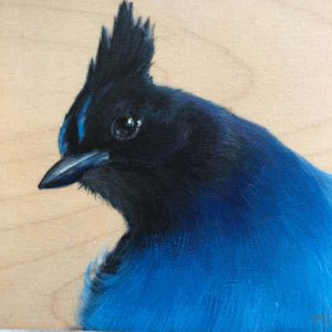 steller's jay bird painting by maggie hurley closeup