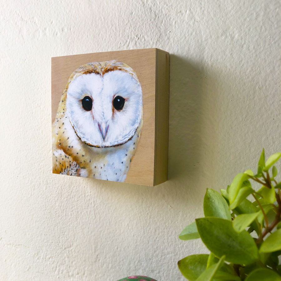Barn owl print profile view